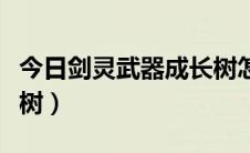 今日剑灵武器成长树怎么打开（剑灵武器成长树）