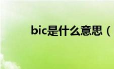 bic是什么意思（bic意思是什么）