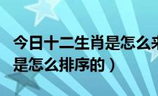 今日十二生肖是怎么来的视频讲解（十二生肖是怎么排序的）