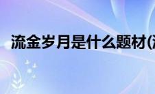 流金岁月是什么题材(流金岁月是什么意思)