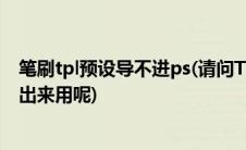 笔刷tpl预设导不进ps(请问TPL文件笔刷导入PS里面怎么调出来用呢)