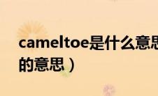 cameltoe是什么意思（怎么理解cameltoe的意思）