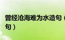 曾经沧海难为水造句（曾经沧海难为水如何造句）