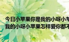 今日小苹果你是我的小呀小苹果怎么爱你都不行（歌词你是我的小呀小苹果怎样爱你都不嫌多 是什么歌）