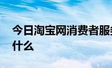 今日淘宝网消费者服务热线 投诉电话号码是什么