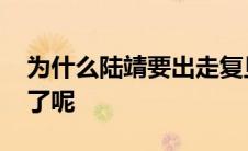 为什么陆靖要出走复旦 到华东师大做副校长了呢