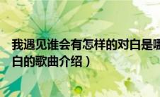 我遇见谁会有怎样的对白是哪首歌（我遇见谁会有怎样的对白的歌曲介绍）