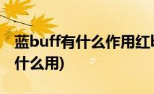 蓝buff有什么作用红buff有什么用(蓝buff有什么用)