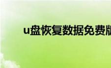 u盘恢复数据免费版（u盘恢复数据）