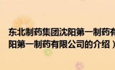 东北制药集团沈阳第一制药有限公司（关于东北制药集团沈阳第一制药有限公司的介绍）