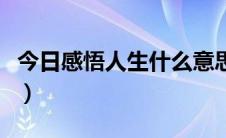 今日感悟人生什么意思啊（感悟人生什么意思）