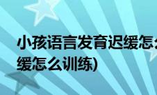 小孩语言发育迟缓怎么回事(小孩语言发育迟缓怎么训练)