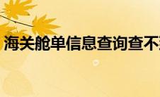 海关舱单信息查询查不到(海关舱单信息查询)