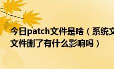 今日patch文件是啥（系统文件里好多patch文件这是什么文件删了有什么影响吗）