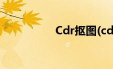 Cdr抠图(cdr快速抠图)