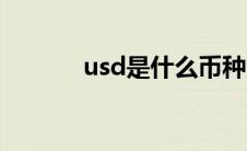 usd是什么币种（usd是什么）