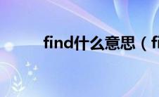 find什么意思（find是什么意思）