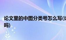 论文里的中图分类号怎么写(论文中的中图分类号可以写两个吗)