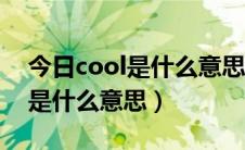 今日cool是什么意思英文翻译成中文（cool是什么意思）