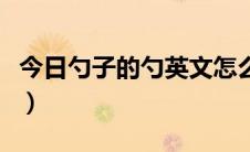 今日勺子的勺英文怎么读（勺子的英文怎么读）