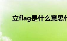 立flag是什么意思什么梗（立flag是）