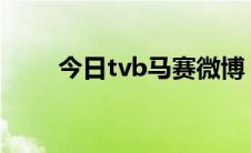 今日tvb马赛微博（TVB马赛是谁）