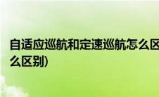 自适应巡航和定速巡航怎么区分(自适应巡航与定速巡航有什么区别)