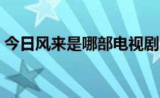 今日风来是哪部电视剧（剧来风什么时候播）