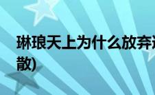 琳琅天上为什么放弃逆战(琳琅天上为什么解散)