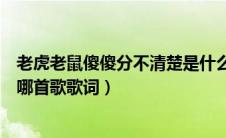 老虎老鼠傻傻分不清楚是什么歌（老虎老鼠傻傻分不清楚是哪首歌歌词）