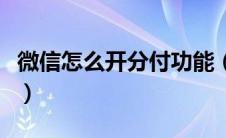 微信怎么开分付功能（微信怎么开通分付功能）