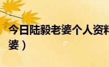 今日陆毅老婆个人资料简介（陆毅个人资料老婆）