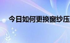 今日如何更换窗纱压条（如何更换窗纱）