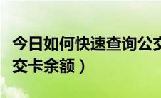 今日如何快速查询公交线路（如何快速查询公交卡余额）