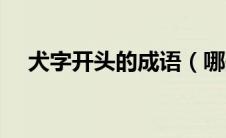 犬字开头的成语（哪些成语是犬字开头）