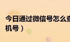 今日通过微信号怎么查（通过微信号怎么查手机号）