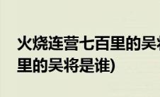 火烧连营七百里的吴将军是谁(火烧连营七百里的吴将是谁)