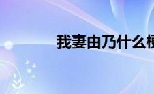 我妻由乃什么梗（我妻由乃）