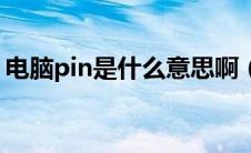 电脑pin是什么意思啊（电脑pin是什么意思）