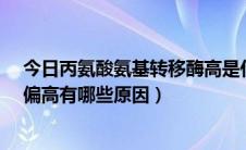 今日丙氨酸氨基转移酶高是什么原因?（丙氨酸氨基转移酶偏高有哪些原因）