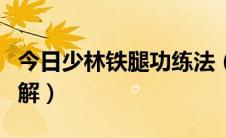 今日少林铁腿功练法（少林散手实战法腿法图解）