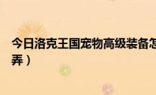 今日洛克王国宠物高级装备怎么拿（洛克王国宠物装备怎么弄）