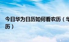 今日华为日历如何看农历（华为手机如何快速查看日历万年历）