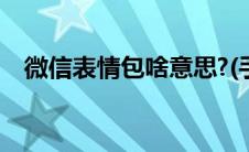 微信表情包啥意思?(手机微信表情包意思)