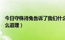 今日守株待兔告诉了我们什么意思（守株待兔告诉了我们什么道理）