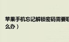 苹果手机忘记解锁密码需要联网（苹果手机忘记解锁密码怎么办）