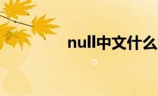 null中文什么意思（null）