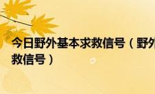 今日野外基本求救信号（野外生存知识堂如何发出及使用求救信号）