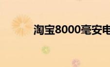 淘宝8000毫安电池（淘宝800）