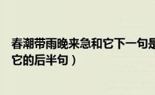 春潮带雨晚来急和它下一句是什么意思（春潮带雨晚来急和它的后半句）